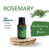 Essential Oil | Rosemary